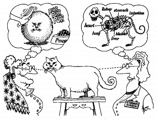 Восприятие реальности зависит от загруженных теорий